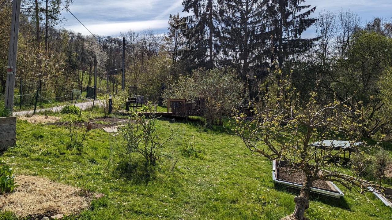 20 Min Nach Wien, Ruhig Und Gruen Klosterneuburg Buitenkant foto